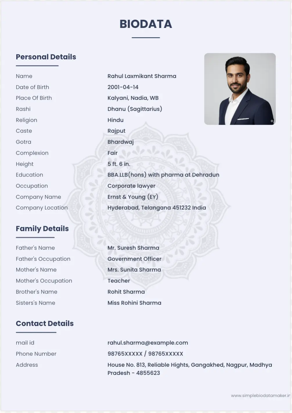 professional biodata for boy marriage