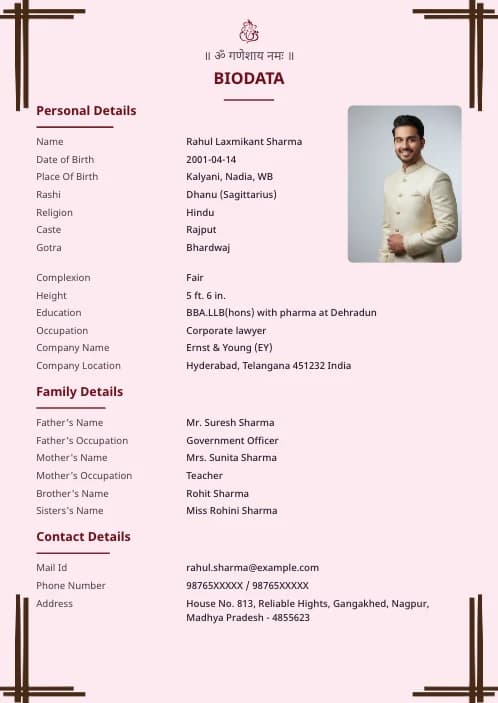 Hindu Marriage Biodata Format marriage biodata format template - modern marriage biodata format free download